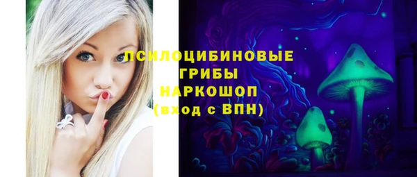 экстази Арсеньев