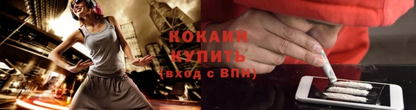 мяу мяу мука Аркадак