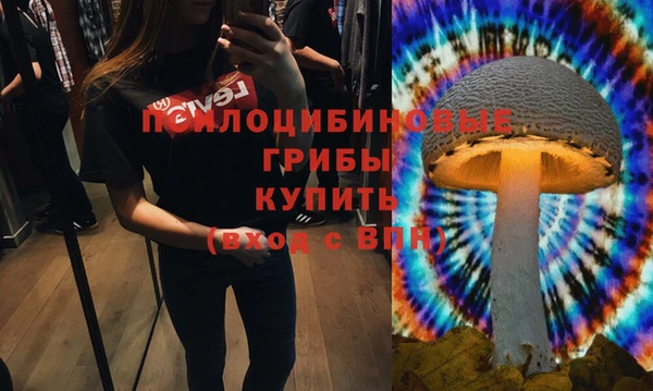 круглые Армянск
