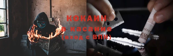 мяу мяу мука Аркадак
