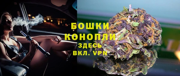 экстази Арсеньев