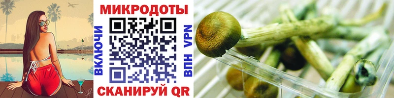 площадка Telegram  Ярцево  Псилоцибиновые грибы MAGIC MUSHROOMS 